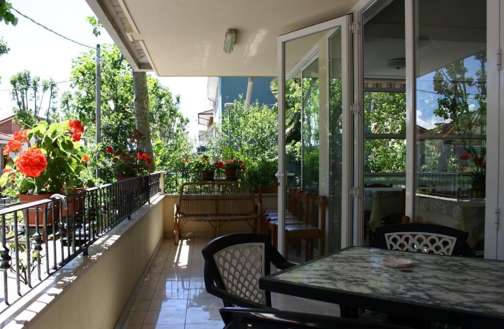 Hotel Urania Nuova Gestione Rimini Exterior foto